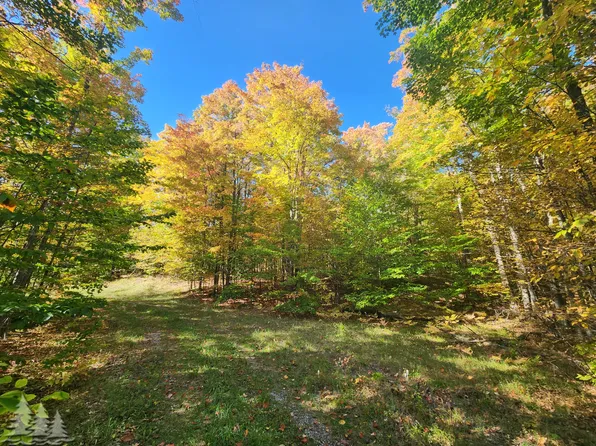 McCormick Lake Rd, Atlanta, MI 49709