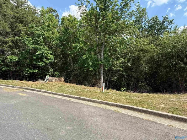 LOT 19 Ridgefield Cir Lot 19, Guntersville, AL 35976