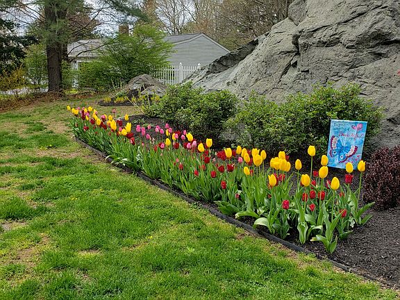 4th image of 58 Rixtown Road