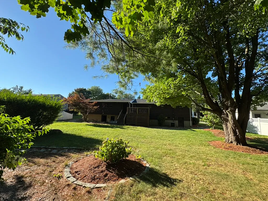 3 bed, 1.5 bath, 1446 sqft, $3,295 — Photo 3