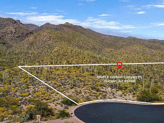 3rd image of 10681 E Gibbon Canyon Pl