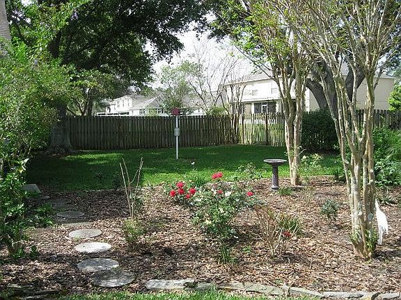rose garden/backyard