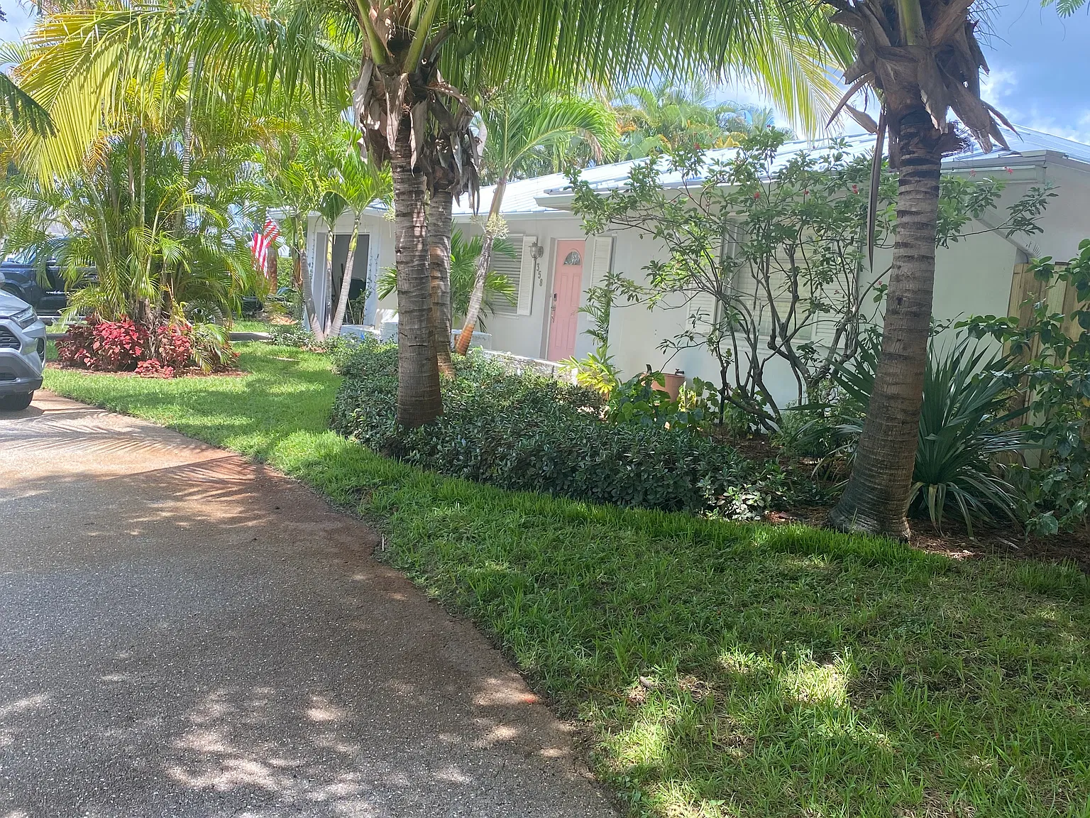 358 Oak Ave — Photo 4