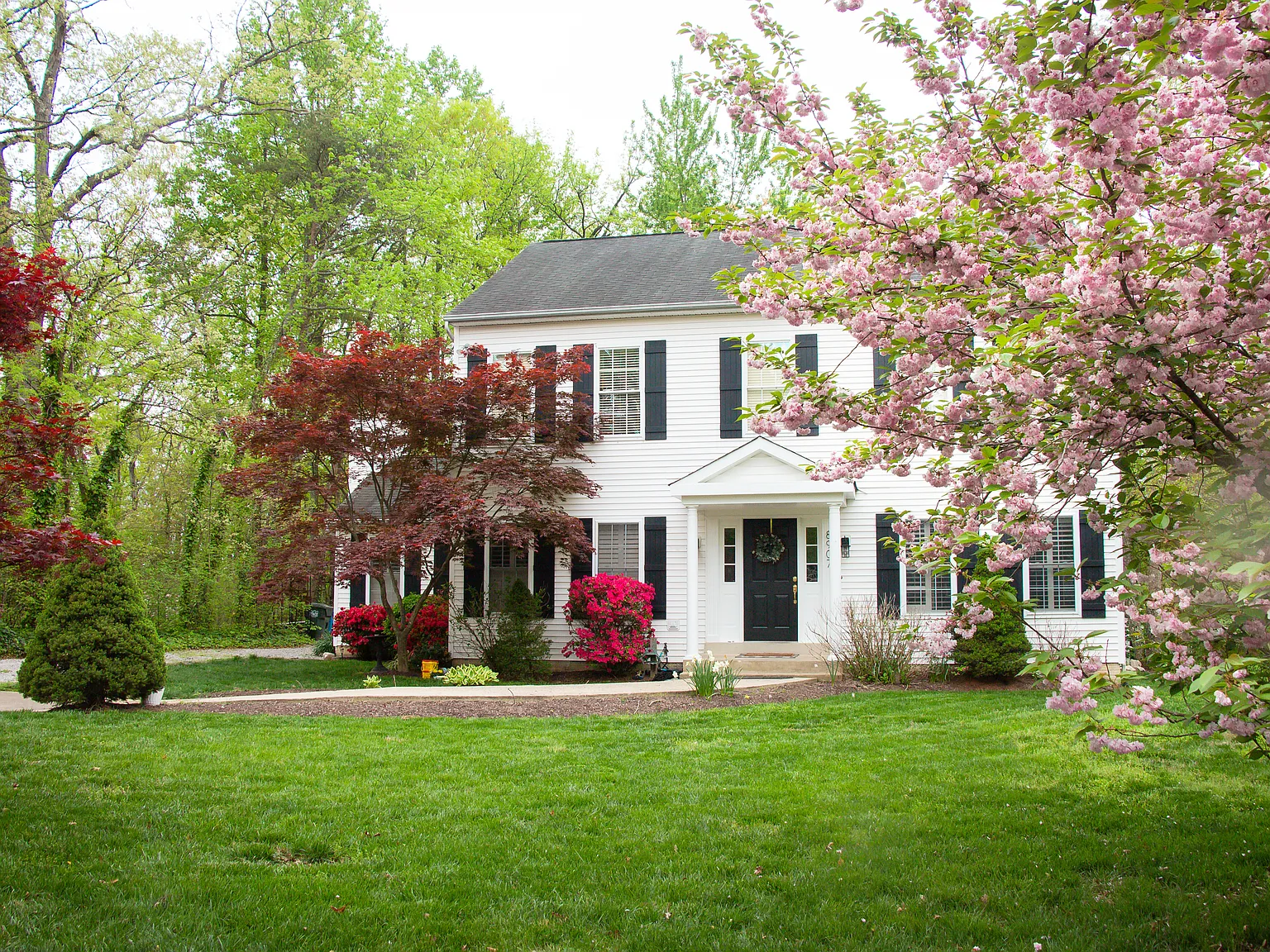 8907 Jameson St — Photo 4