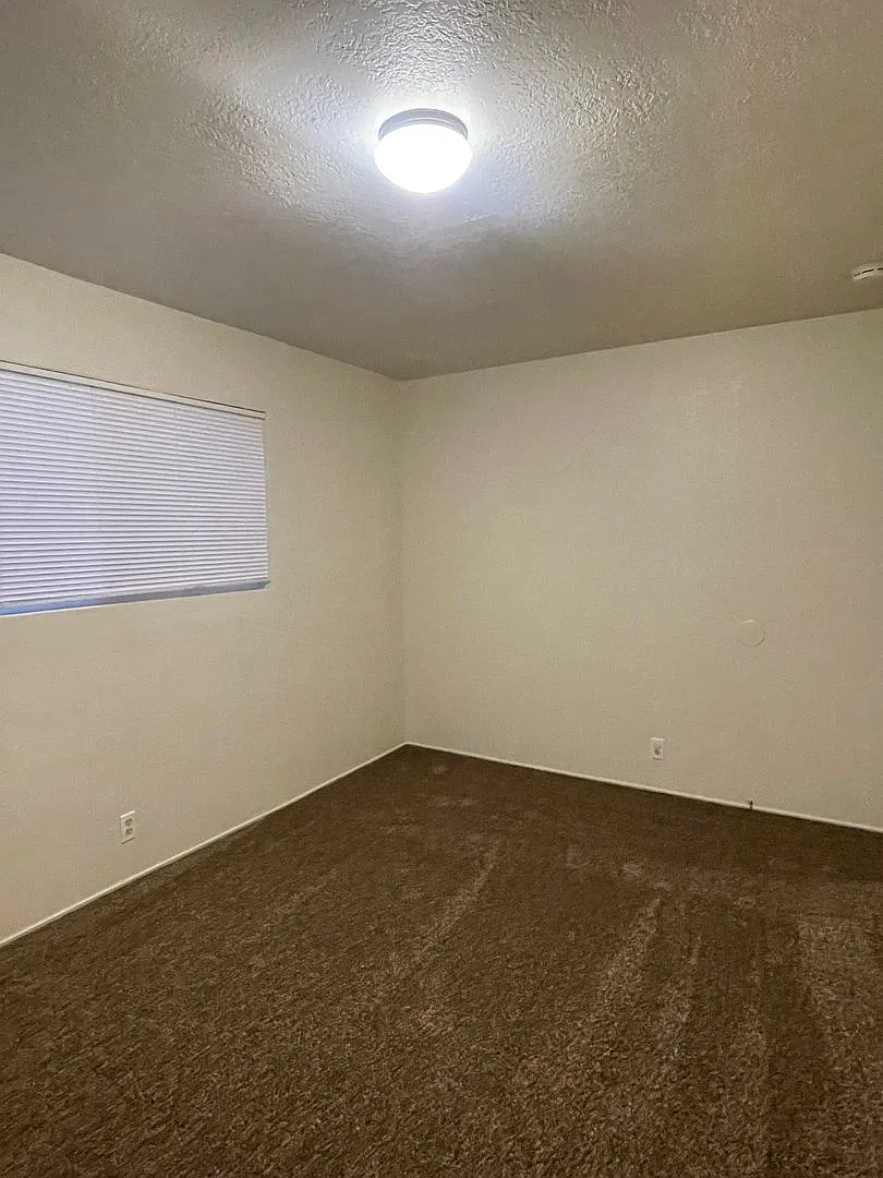 1565 Olive Ave — Photo 4