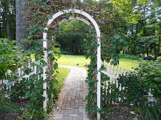 Arbor Entry to Level Backyard