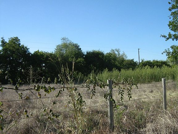 4th image of 800 N Wheat Rd