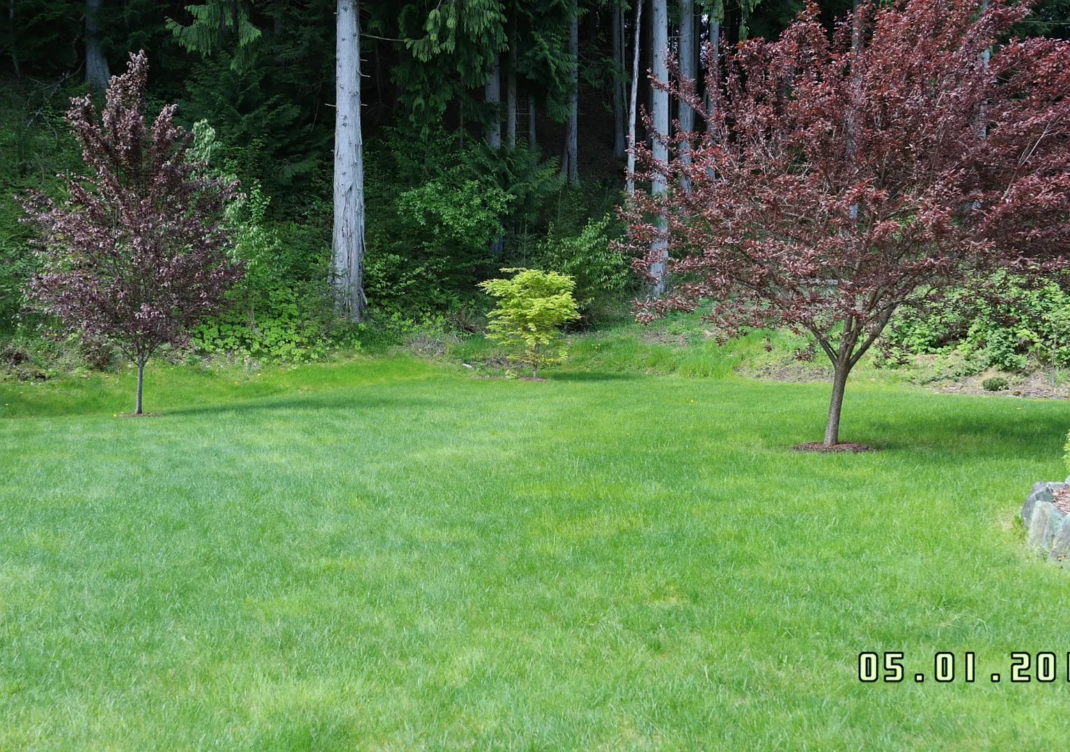 7670 Cedar Park — Photo 3
