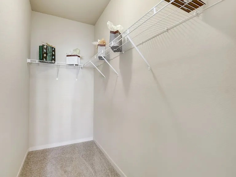 Large Walk in Closet