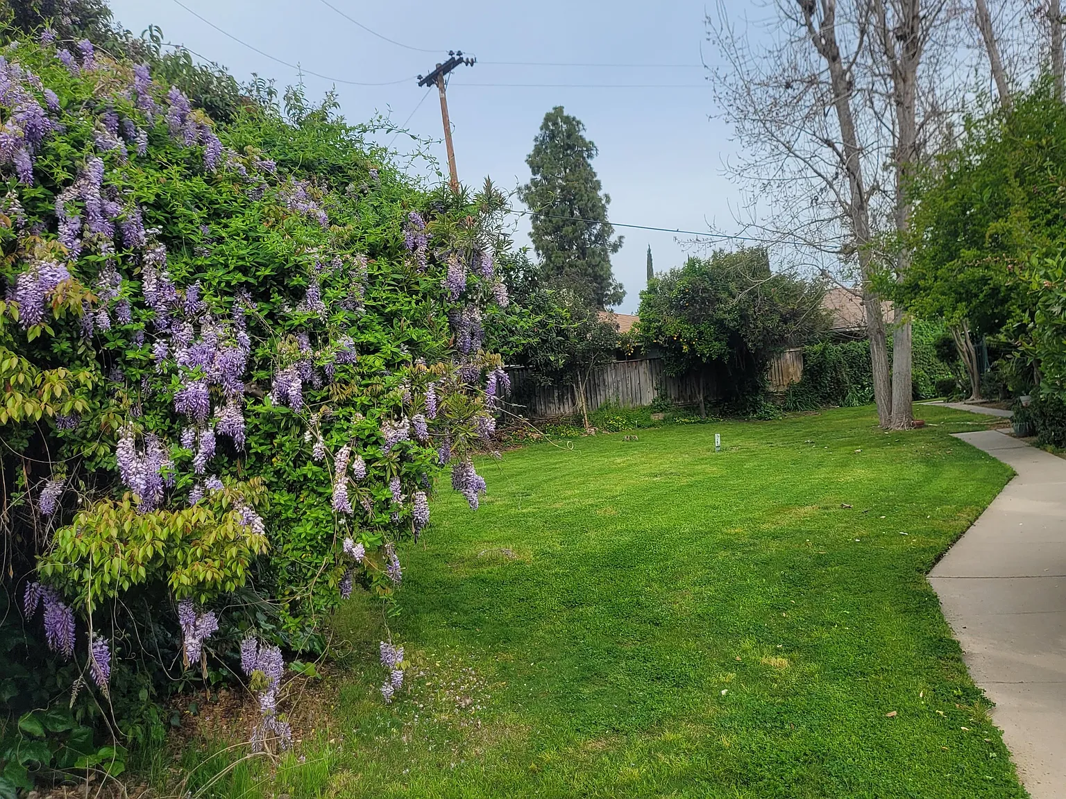 Link Care Housing - 38-G — Photo 4