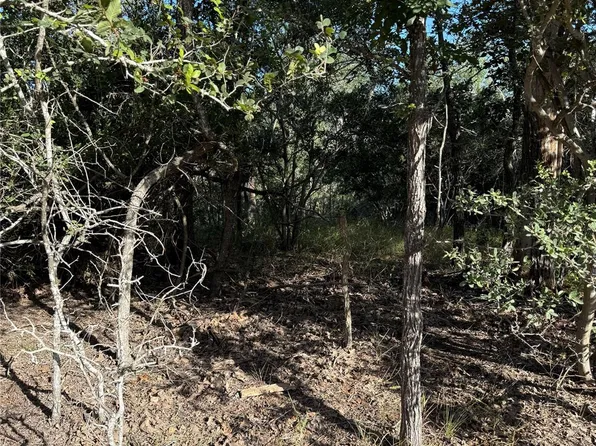 152 Helemano Dr, Bastrop, TX 78602