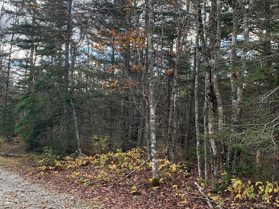 Lot 220 Yellow Birch Road, Whiting, ME 04691 Zillow