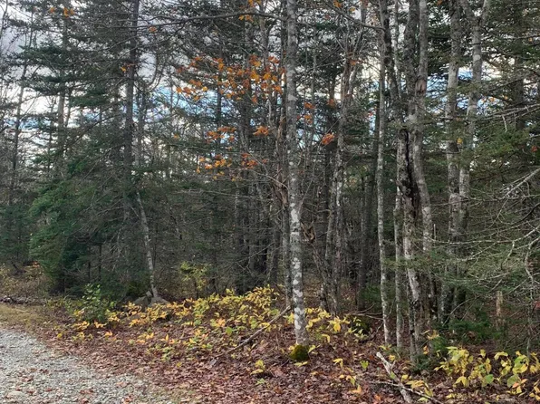 Lot 2-20 Yellow Birch Road, Whiting, ME 04691
