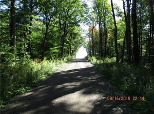 7191 May Rd, Conesus, NY 14435