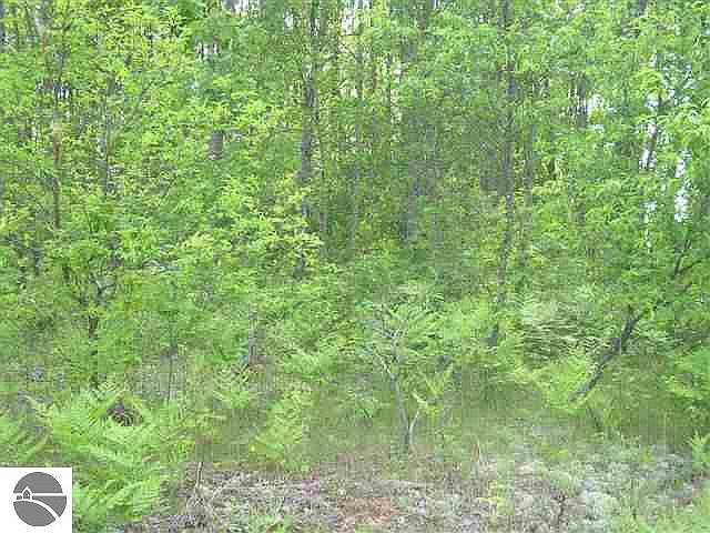 1st image of 0 Birch Lake Rd