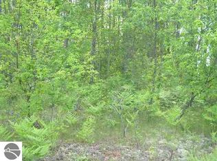 0 Birch Lake Rd, Kewadin, MI 49648