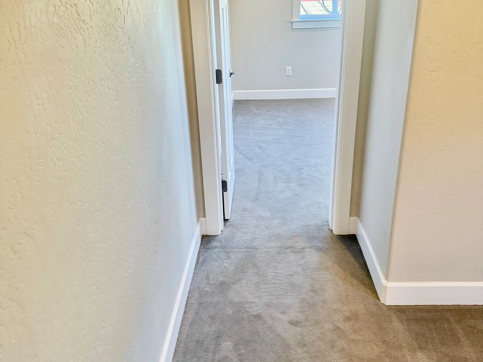 1 bed, 700 sqft, $1,350 — Photo 4
