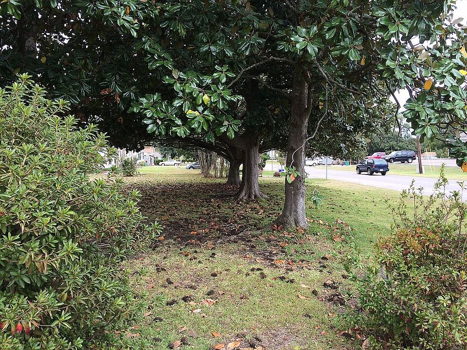 2nd image of 3501 Washington Ave