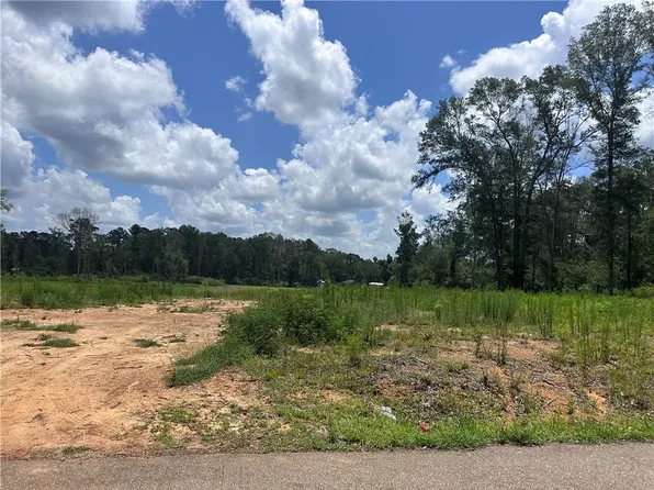 63198 Hill St Tract 2, Roseland, LA 70456