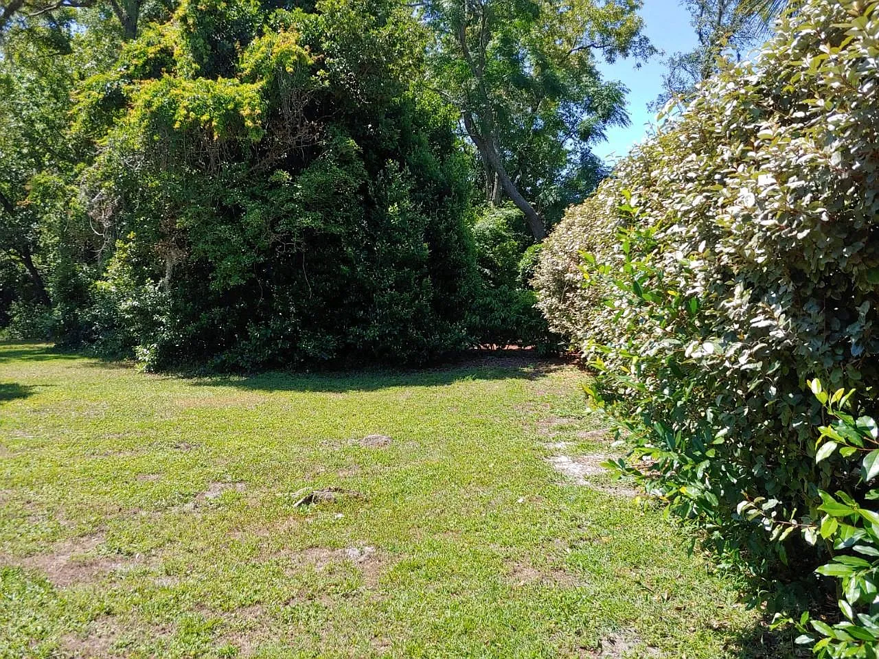 2 bed, 1097 sqft, $1,395 — Photo 4
