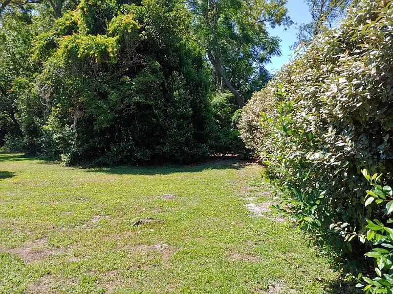 63 Douglas St #11 — Photo 4