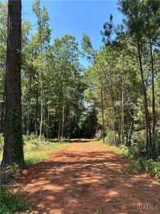 193 6th St NE, Reform, AL, 35481