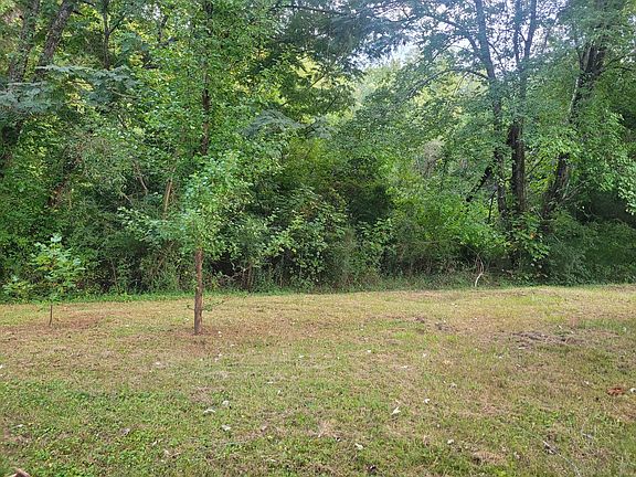 large backyard