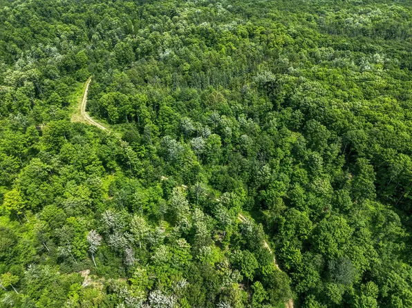6881 Dunham Road Usfs Rd #6, Marenisco, MI 49947