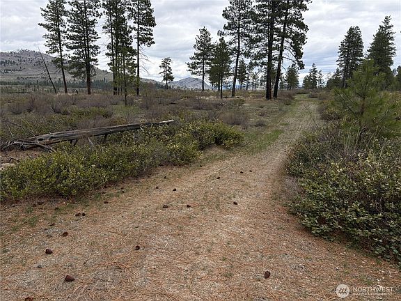 2nd image of 1 N Cook Mt Road