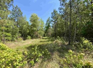 18825 Fm 729, Lone Star, TX 75668