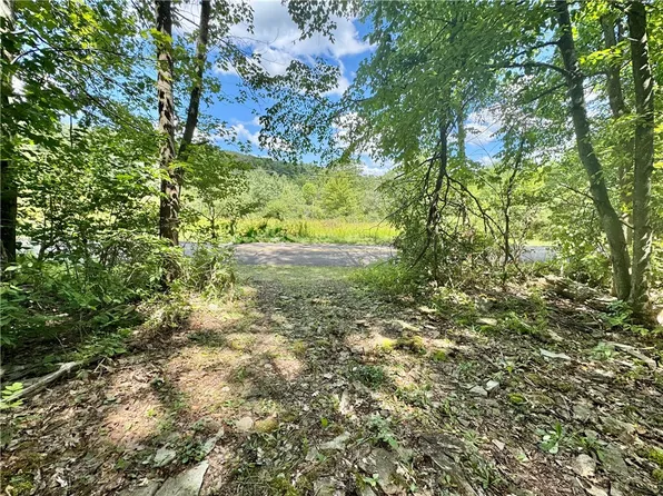0 Breed Hollow Rd, Corning, NY 14830