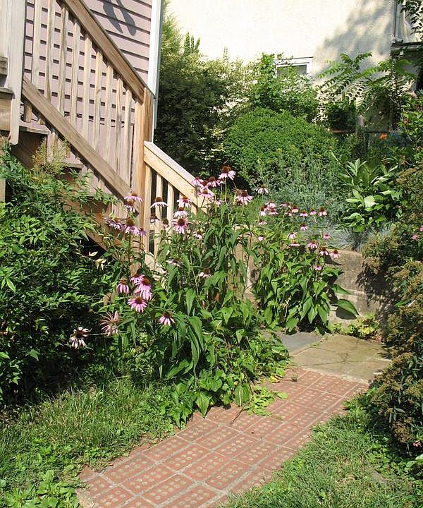 2nd image of 854 Nalle St #B