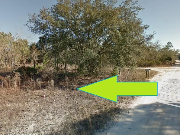 0 Corner Of NE #95, Bronson, FL 32621
