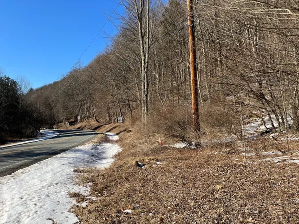 0 County Highway 28, Hancock, NY 13783