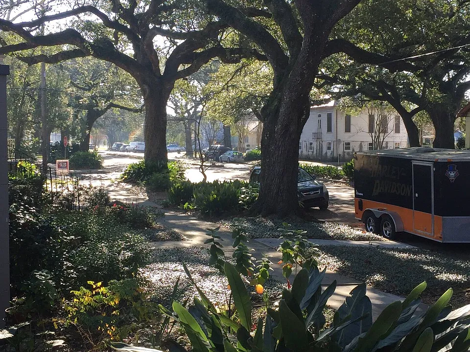 View from the porch