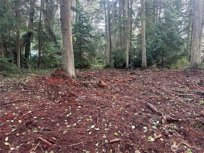 0 Lot 60 Worthy Place, Greenbank, WA, 98253