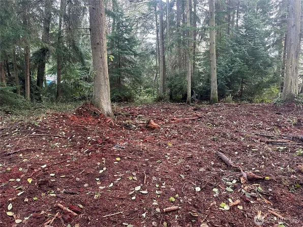 0 XXX Worthy Place, Greenbank, WA 98253