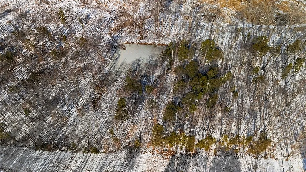 Abilene Rd #4 photo 1