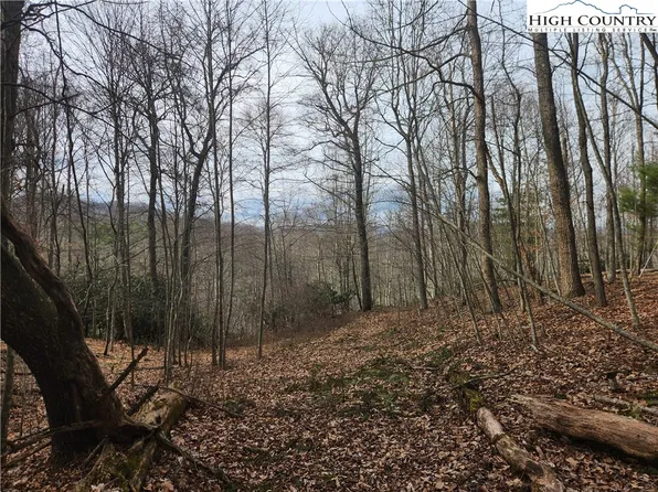 003/004 Laurel Highlands Drive, Grassy Creek, NC 28617