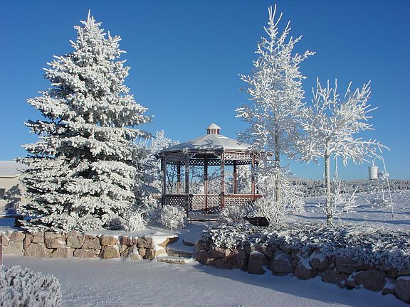 Backyard Gazebo - Winter