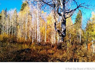 2090 S Pine Cir #PI-D-17, Coalville, UT 84017