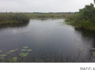 2861 N Wheaton Pt, Hernando, FL 34442