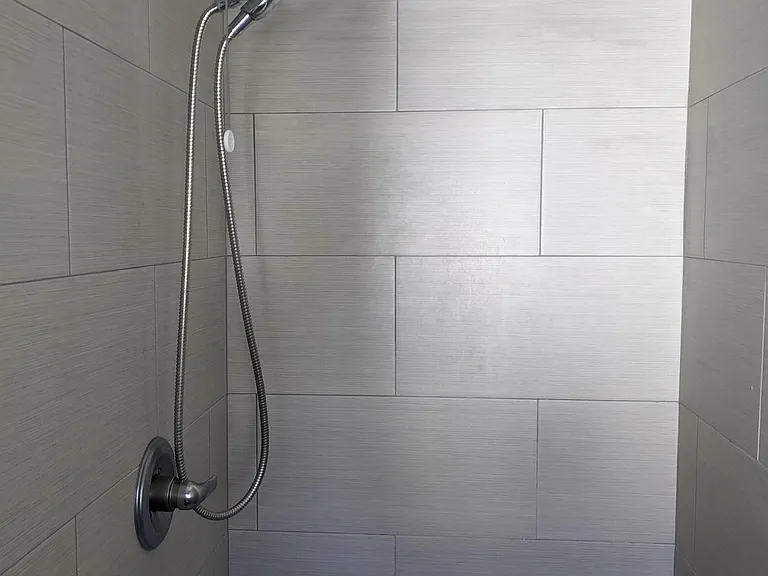 Master shower.