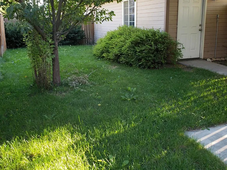 3007 W Madison Ave — Photo 3