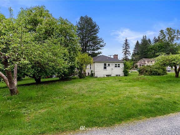 Side yard, with fruit trees! 