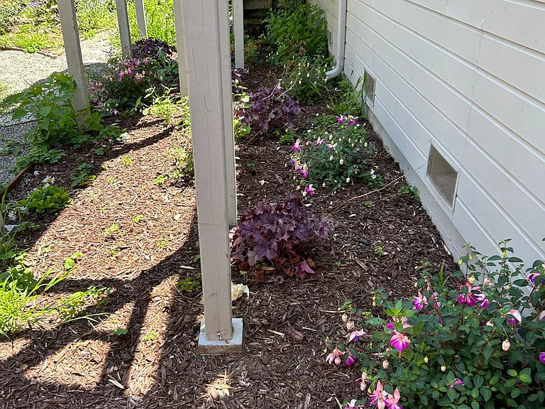 122 Ocean St #A — Photo 14