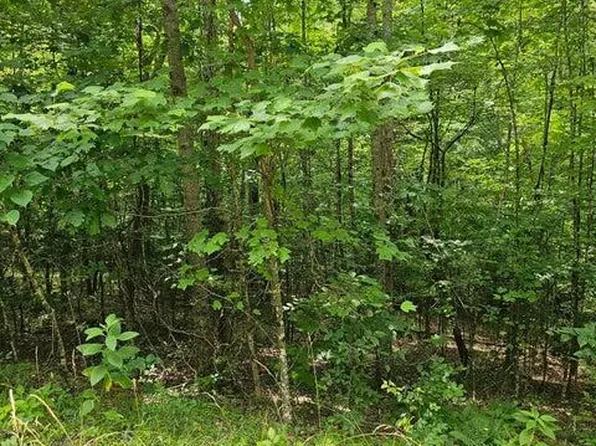 Windsor Ln, Jacksboro, TN 37757