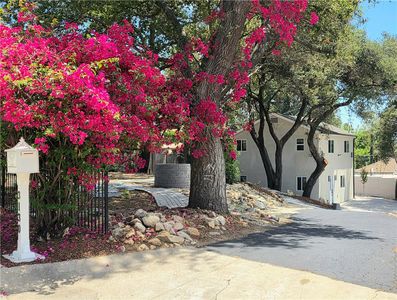 3130 N Mount Curve Ave, Altadena, CA, 91001