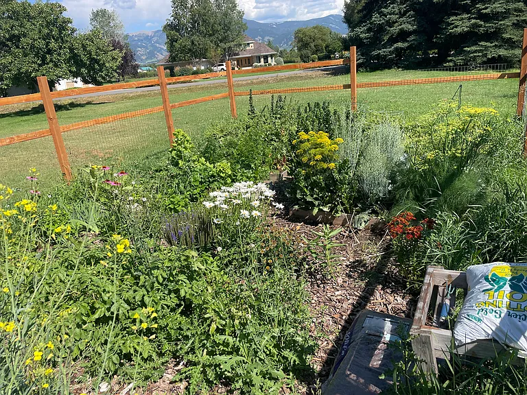 337 Sacajawea Peak Dr — Photo 8