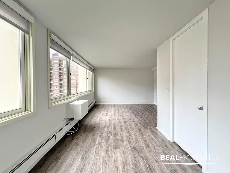 1344 N Dearborn — Photo 19